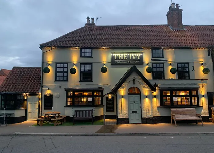 The Ivy