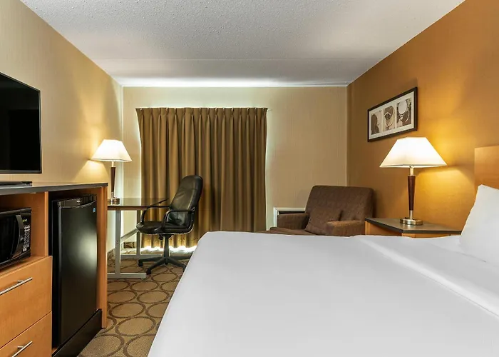 Comfort Inn West Edmonton