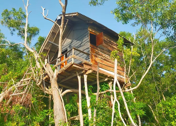 Rumah Pohon