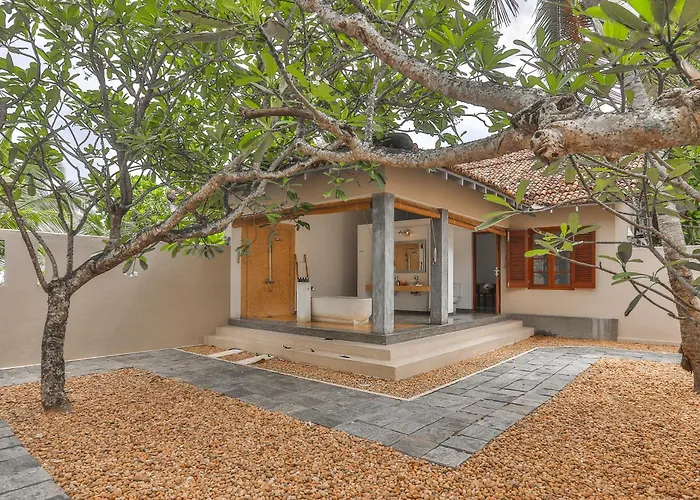 The Frangipani Tree By Edwards Collection - Thalpe