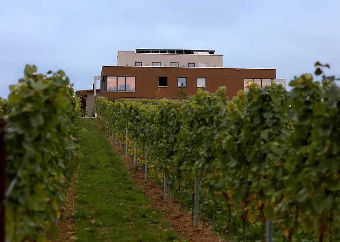Vögelis WeinNest
