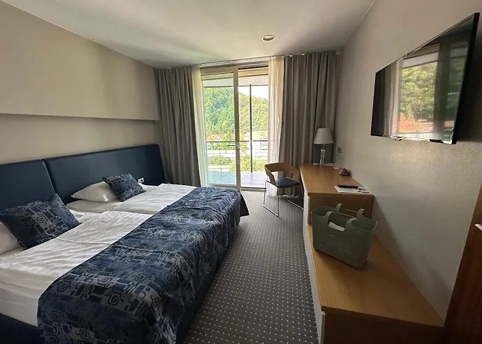 Hotel Thermana Park Lasko**** Superior