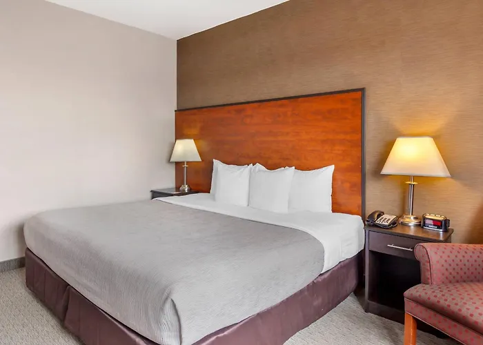 Quality Inn Toronto Airport