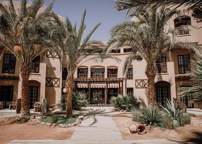 Cook'S Club El Gouna (Adults Only) Hurghada