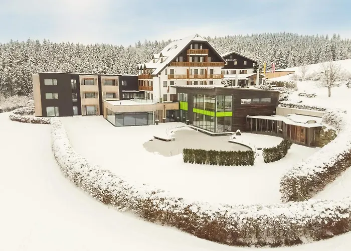 Hotel Schwarz Alm Zwettl