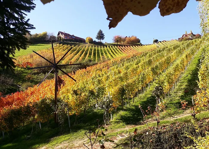 Weingut Stoff