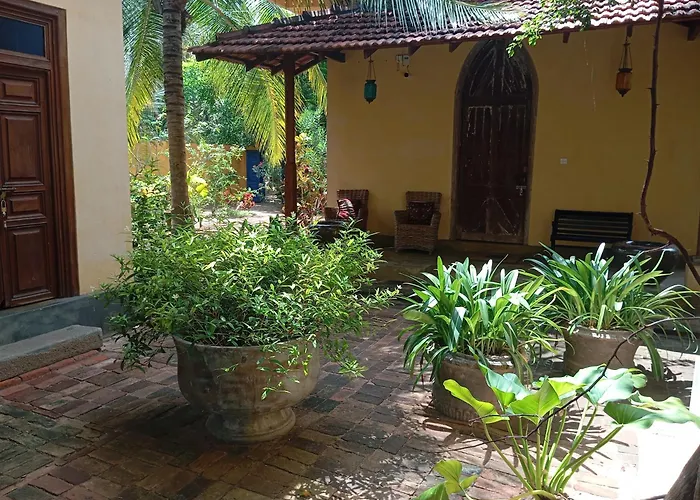 Luna Laguna