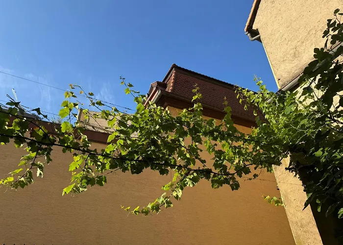 Hotel Neuhauser