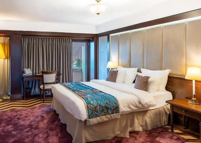 Hotel International Sinaia