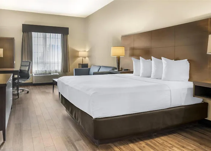 Best Western Plus Saint John & Suites