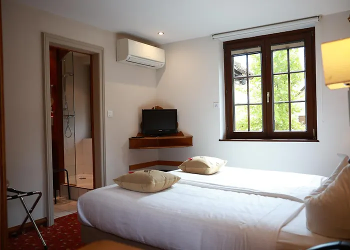 Hotel - Restaurant Le Cerf & Spa Marlenheim