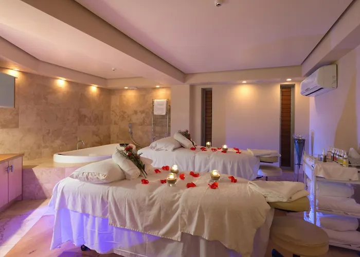 Paihia Beach Resort & Spa