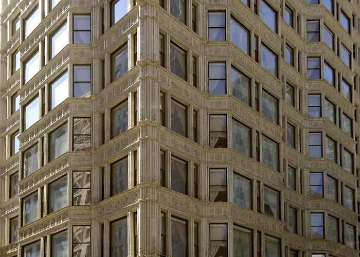 Staypineapple, An Iconic , The Loop