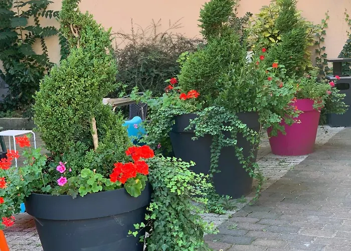 Hotel Bristol Mülhausen