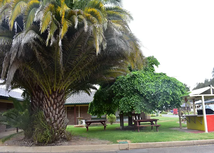 Meninya Palms