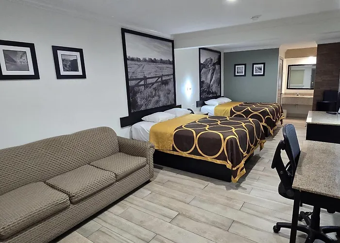 Super 8 By Wyndham Mcallen-Downtown-Airport-La Plaza Mall