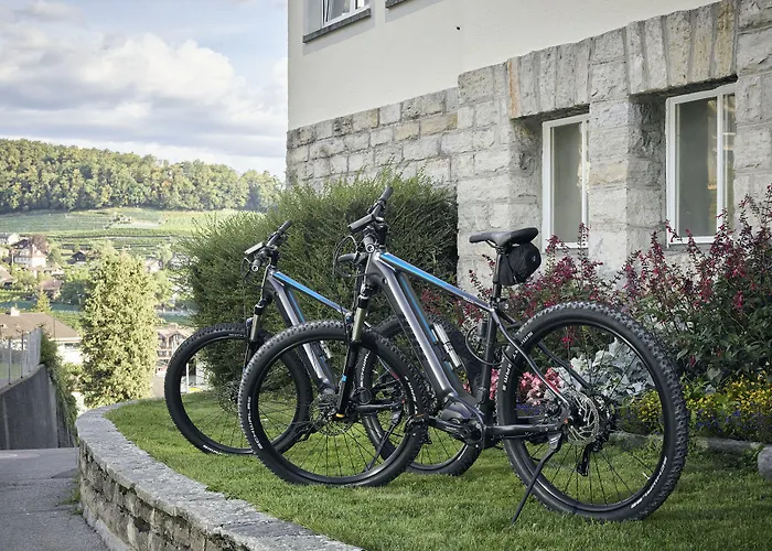 Belvedere Strandhotel Spiez