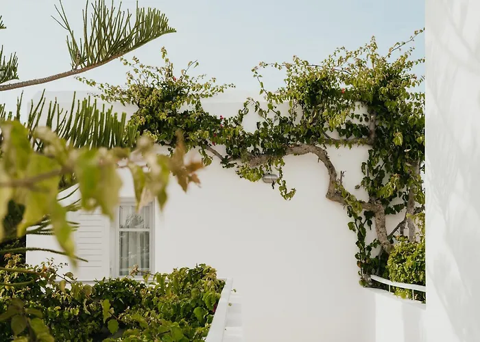 Mr And Mrs White Paros Hotel Naousa 