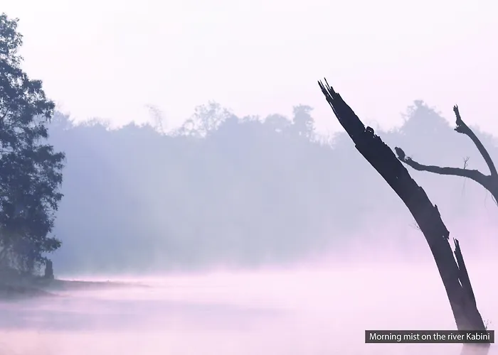 The Serai Kabini Begur