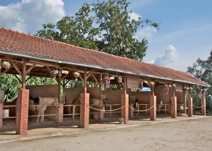 Hotel Colmar Tropicale Bukittinggi