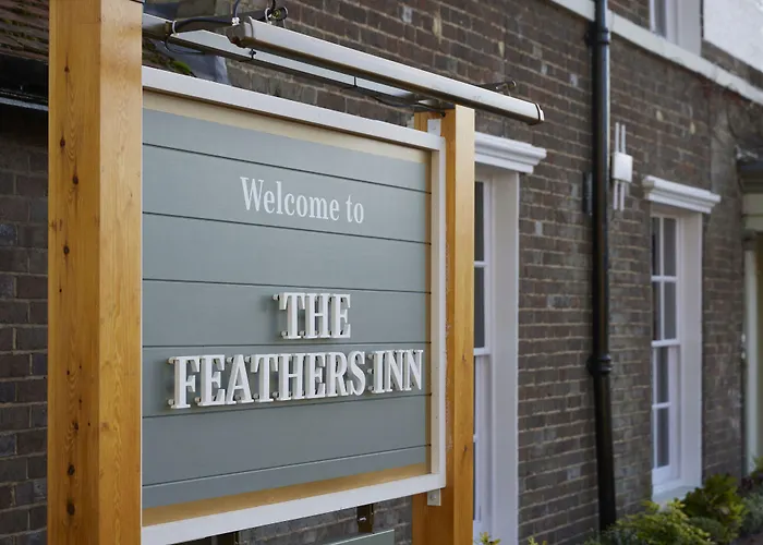 Feathers By Chef & Brewer Collection Wadesmill