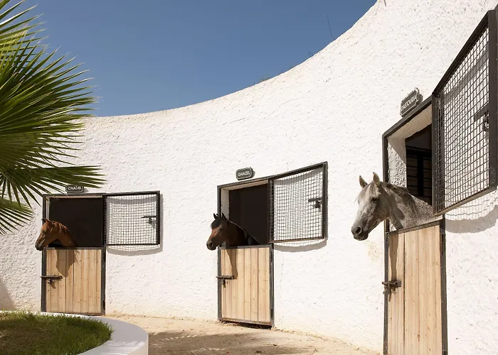 Hotel Sentido Phenicia Hammamet