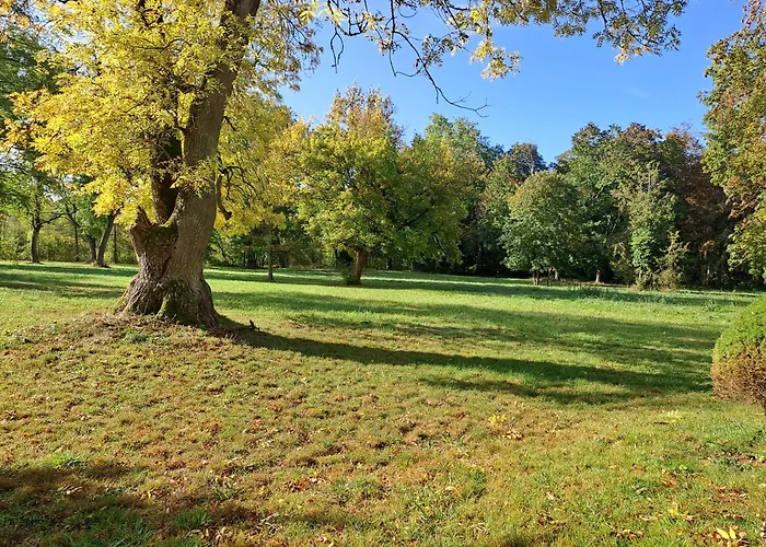 Chateau Des Aulnes Bouconville-sur-Madt