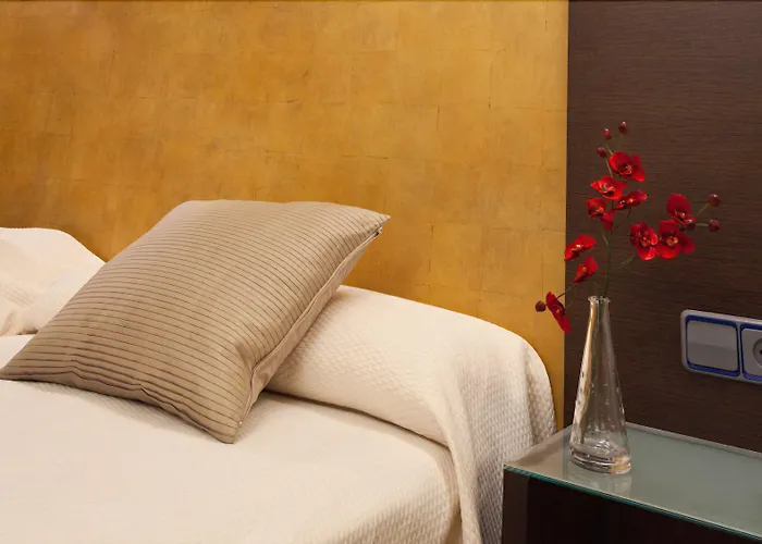 Hotel Madrid Torrejon Plaza