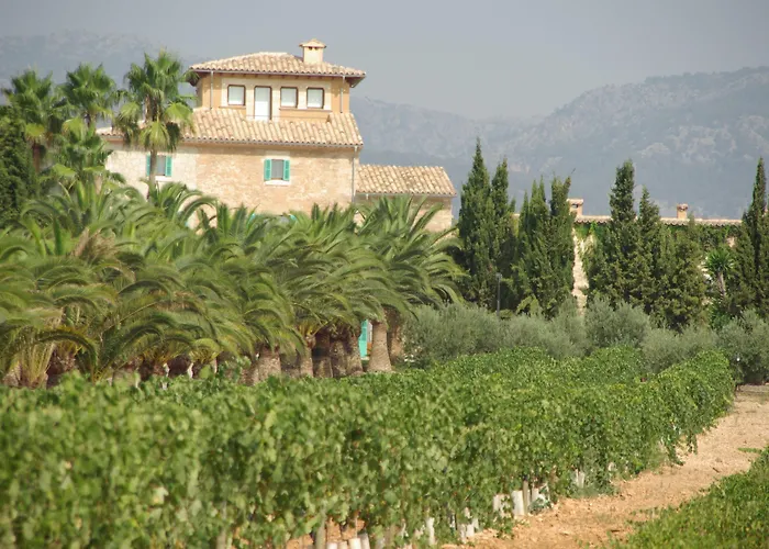 Sa Cabana Hotel & Spa - Adults Only