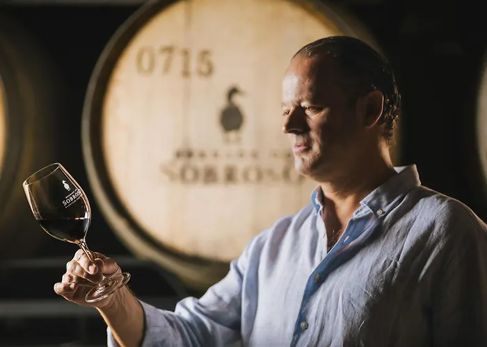 Herdade Do Sobroso Wine Hotel & Villas - Small Luxury Hotels Of The World Pedrogao 