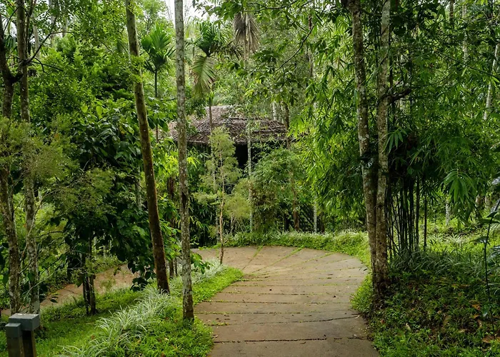 The Woods Resorts Wayanad