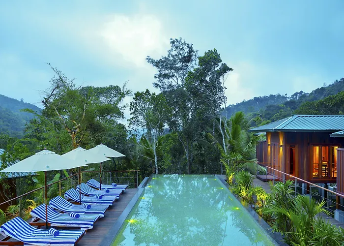 Niraamaya Retreats Cardamom Club