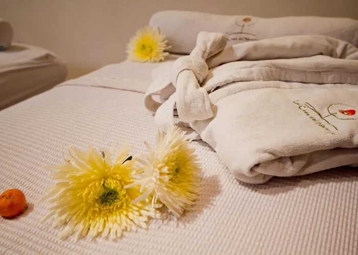 La Casa del Naranjo Hotel Boutique Querétaro