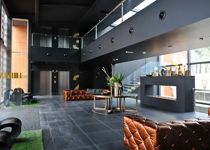 Evidencia Belverde Hotel Amora