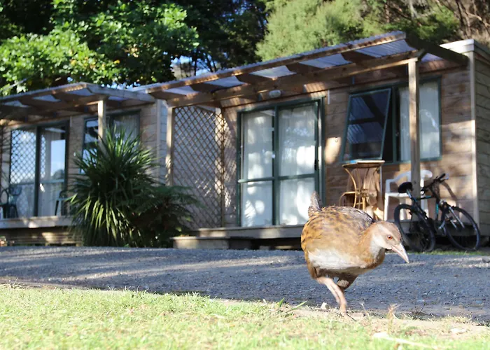 -Orongo Bay Holiday Park