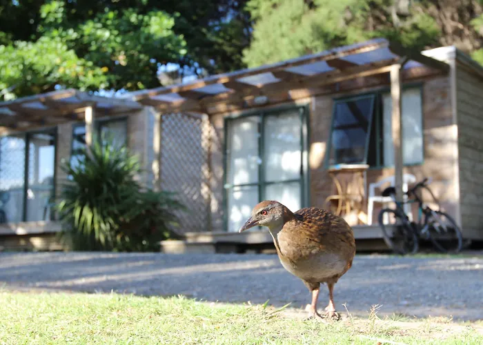 -Orongo Bay Holiday Park
