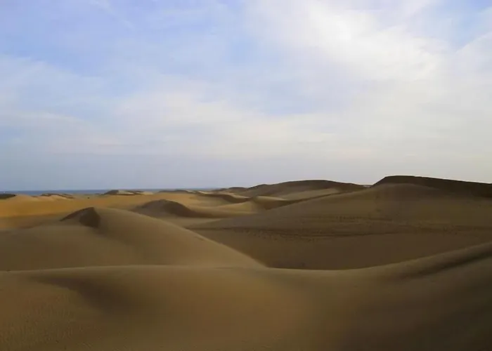 Seven Hotel & Wellness - Gay Men Only Maspalomas 