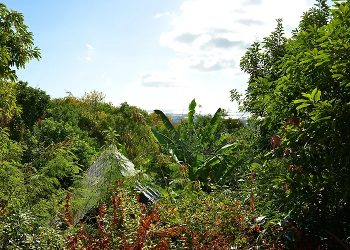 Lodge Roche Tamarin Saint-Denis