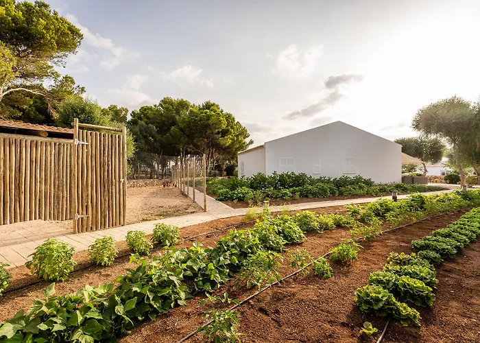 Lago Resort Menorca - Villas&Bungalows del Lago Cala'N Bosch 