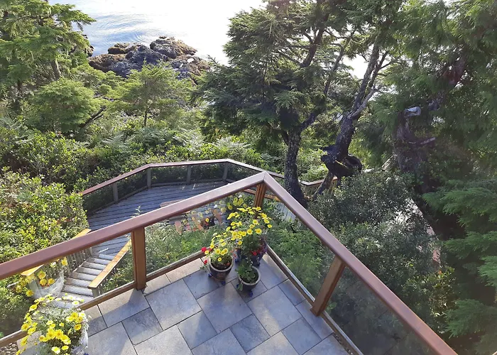 Reef Point Oceanfront Bed And Breakfast