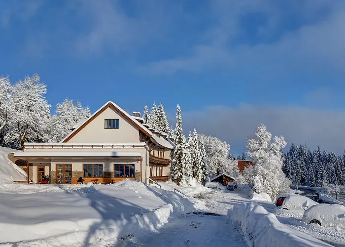 Boedele Alpenhotel