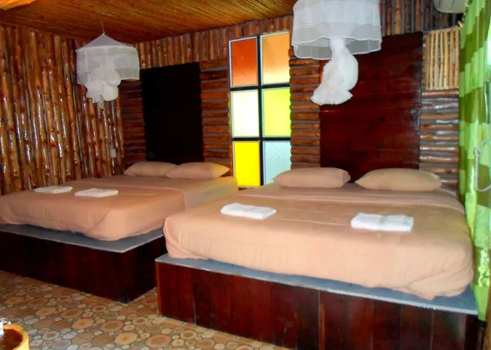 Khao Sok Tree House Resort Khao Sok National Park