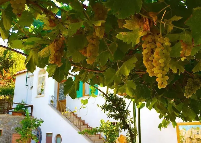 B&B Il Grappolo
