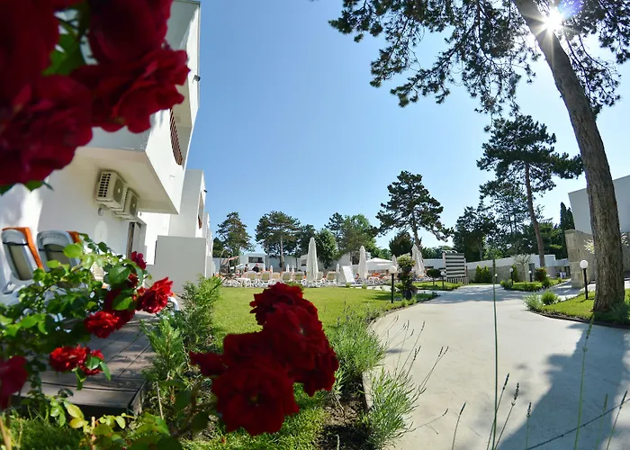 Mera Resort Venus