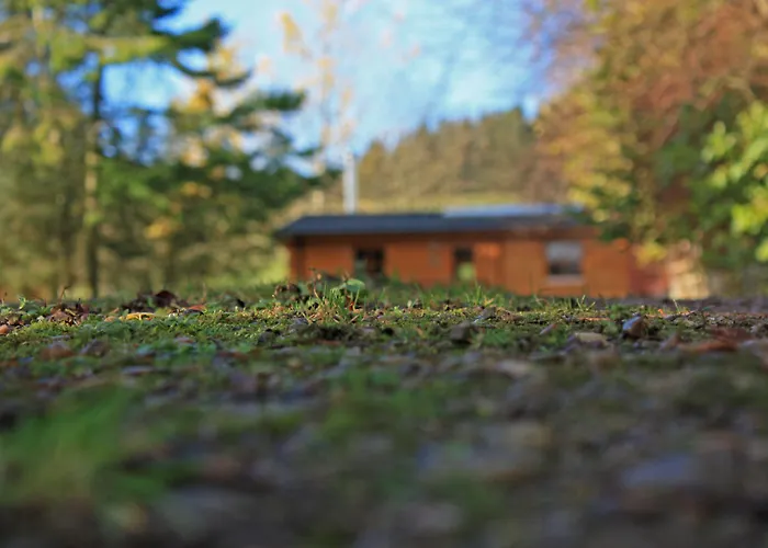 Saplinbrae Hotel And Lodges Mintlaw