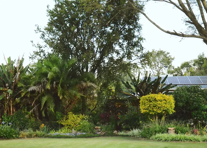 Malcolm Lodge Harare