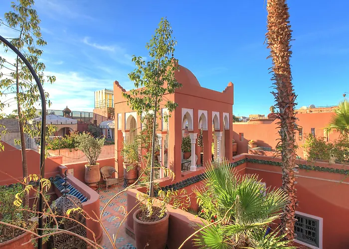Riad Kaiss By Anika
