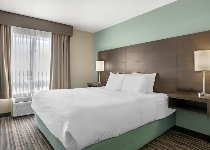 Best Western Plus Dartmouth Hotel & Suites