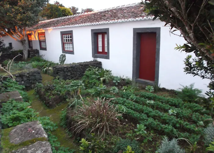 Quinta Do Martelo
