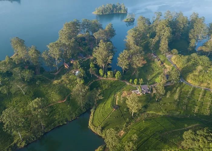 The Farm Resorts